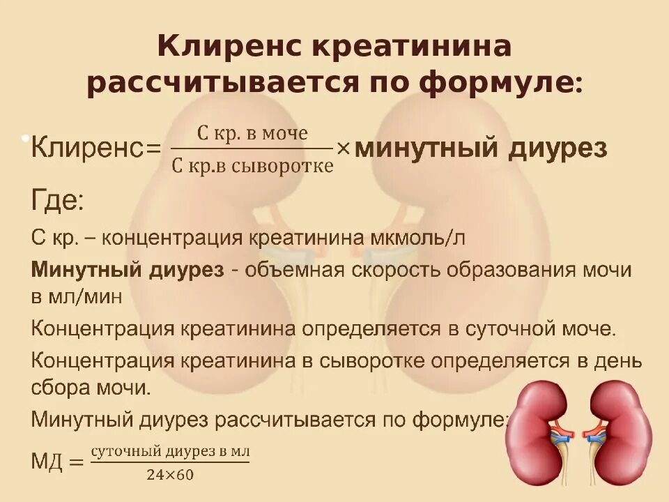 Показатели почек креатинин. Креатинин в моче показатели. Патология почек креатинин. Креатинин почки повышен. Креатинин в моче повышен у женщины