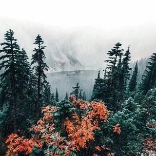 Картинки природы эстетика