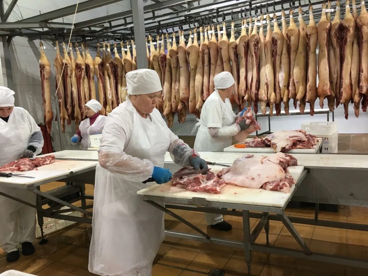 Продукция мясоперерабатывающего комбината. Мясокомбинаты краснодарского края. Линец курская область мясокомбинат. Мясоперерабатывающий комбинат ариант челябинск. Продукция мясоперерабатывающего комбината.