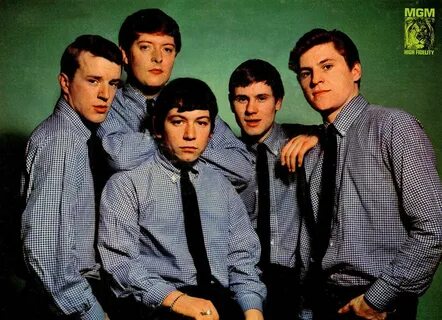 The animals