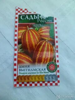 Дыня вьетнамская подарок