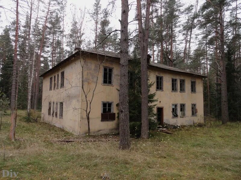 Дол в луге. Заброшенный лагерь Луга. Пионерский лагерь космос Луга. Заброшенный детский лагерь космос Свердловск. Лагерь космос 2 Самара.