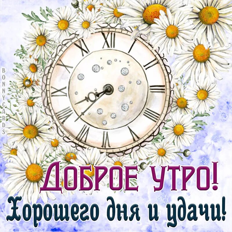 Доброе утро - "Я и ты Водолей - вместе будет веселей.", пользователь Ольга Плесо