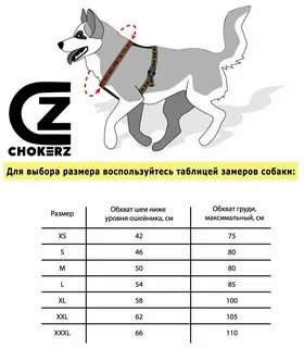 Как подобрать размер шлейки для собаки