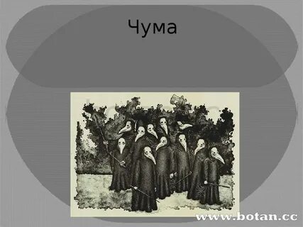Чума песни слушать