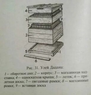 Чертежи улья дадан на 12