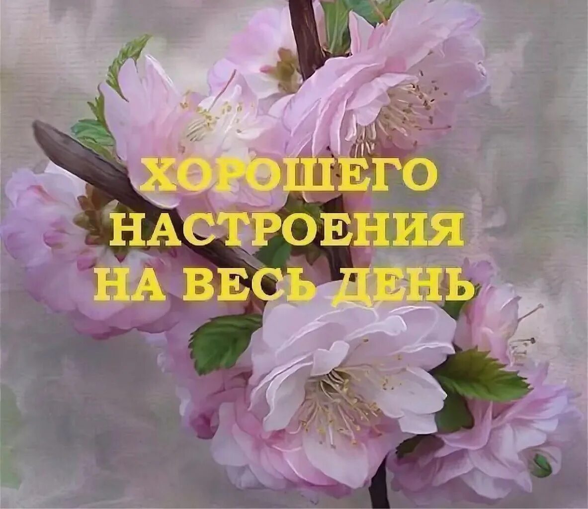 Пожелания всего доброго и хорошего настроения. Хорошего настроения на весь день. прекрасного дня и настроения. хорошего насьроения навест день. хорошего дня и отличного настроения.