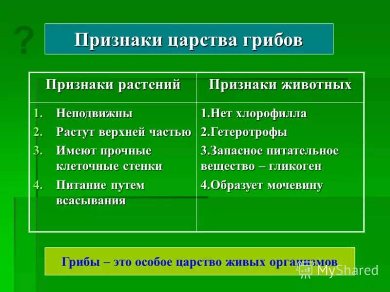 общая характеристика грибов 6 класс биология таблица. только для царства грибов характерно. общая характеристика грибов 5 класс биология презентация. царство грибы строение. грибы признаки грибов.