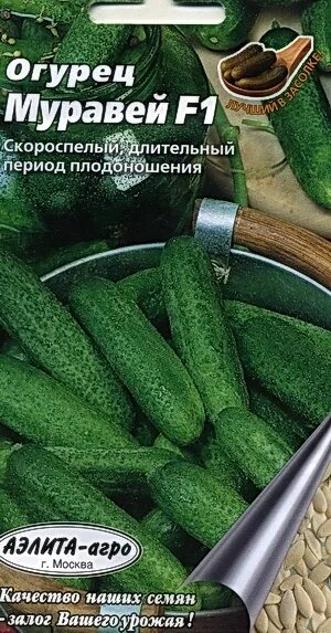 Огурец муравей - CormanStroy.ru