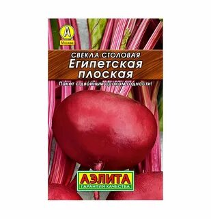 Свекла египетская плоская описание отзывы