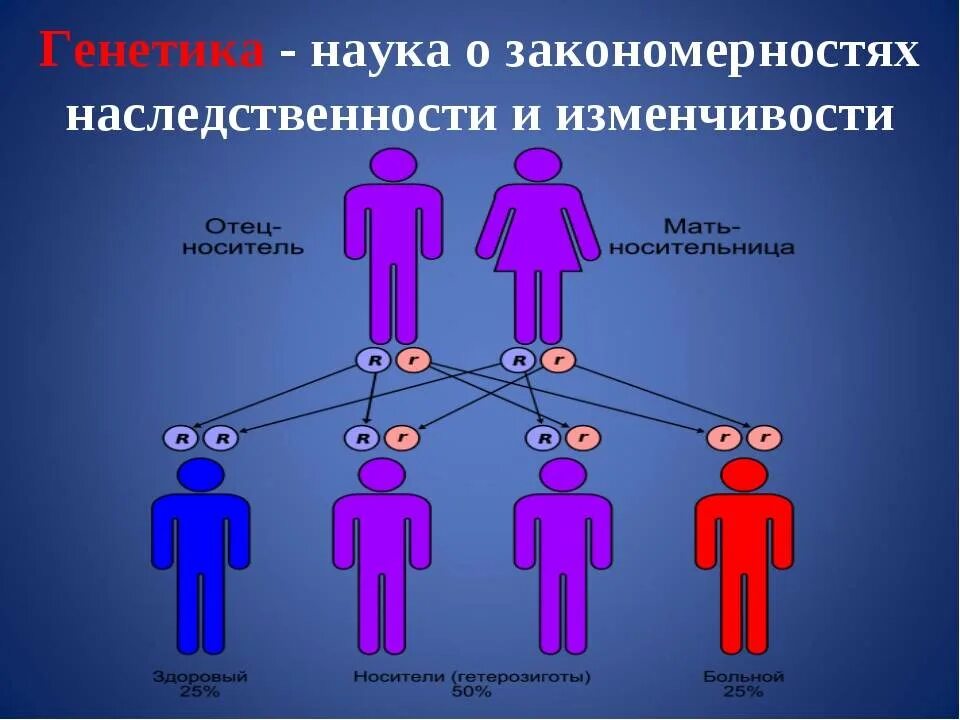 Генетика человека. Наследственность человека. Генетика человека наследственность. Гены по наследству.