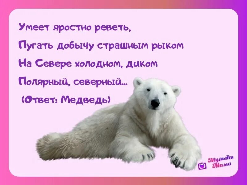 Яростно рычал в управление