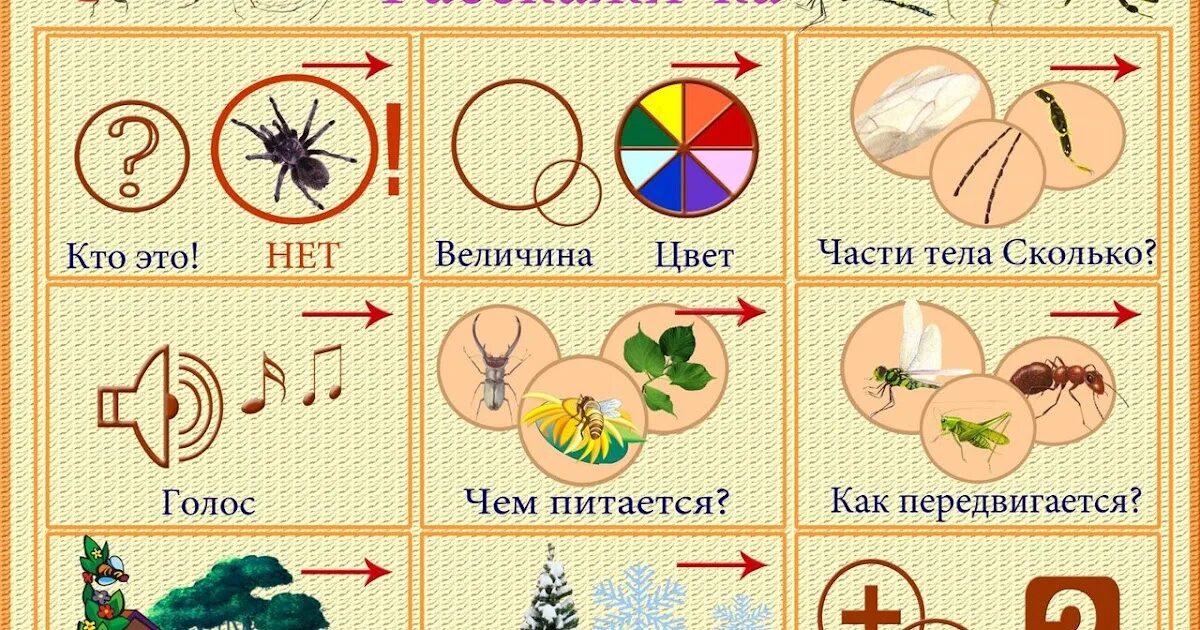 Схема для составления описательного рассказа о животных. Описательный рассказ по мнемотаблице. Мнемотаблица составление описательного рассказа. Алгоритм для составления описательного рассказа. Схема описания домашнего животного для дошкольников.