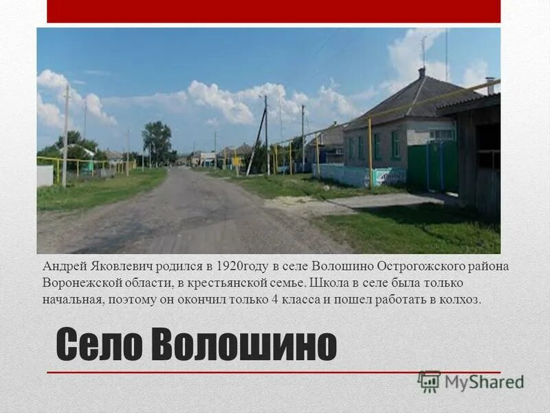 слобода волошино миллеровского района. слобода волошино миллеровского района. волошино (миллеровский район). миллеровский район волошино герб. волошино миллеровский район ростовская область карта.