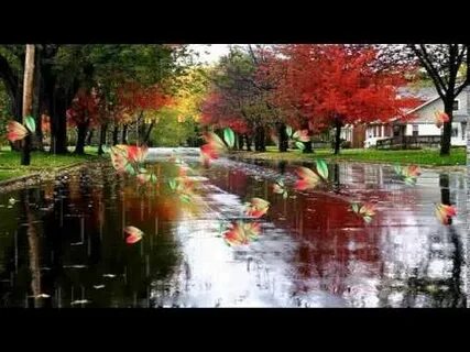 Листья осени над городом кружатся песня