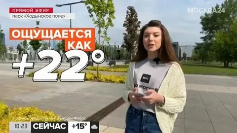Погода на 23 октября в москве 2024