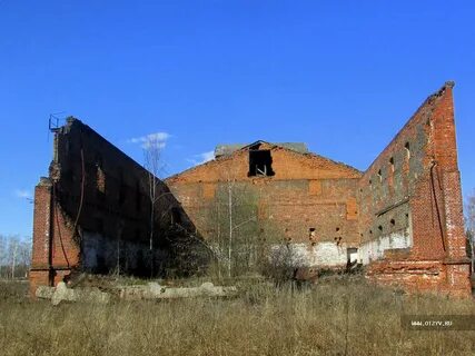 Сельское поселение красный профинтерн некрасовского