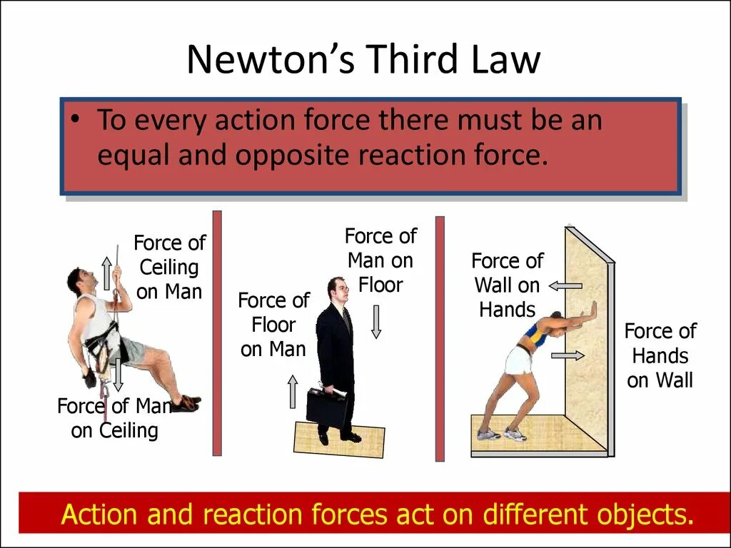 Should equal. 3 Newton's Law. Newtons third Law. Newton’s third Law of Motion. First Law of Newton.