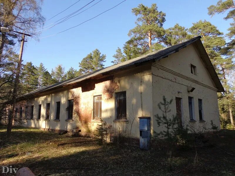 Поселок алые паруса ленинградская область