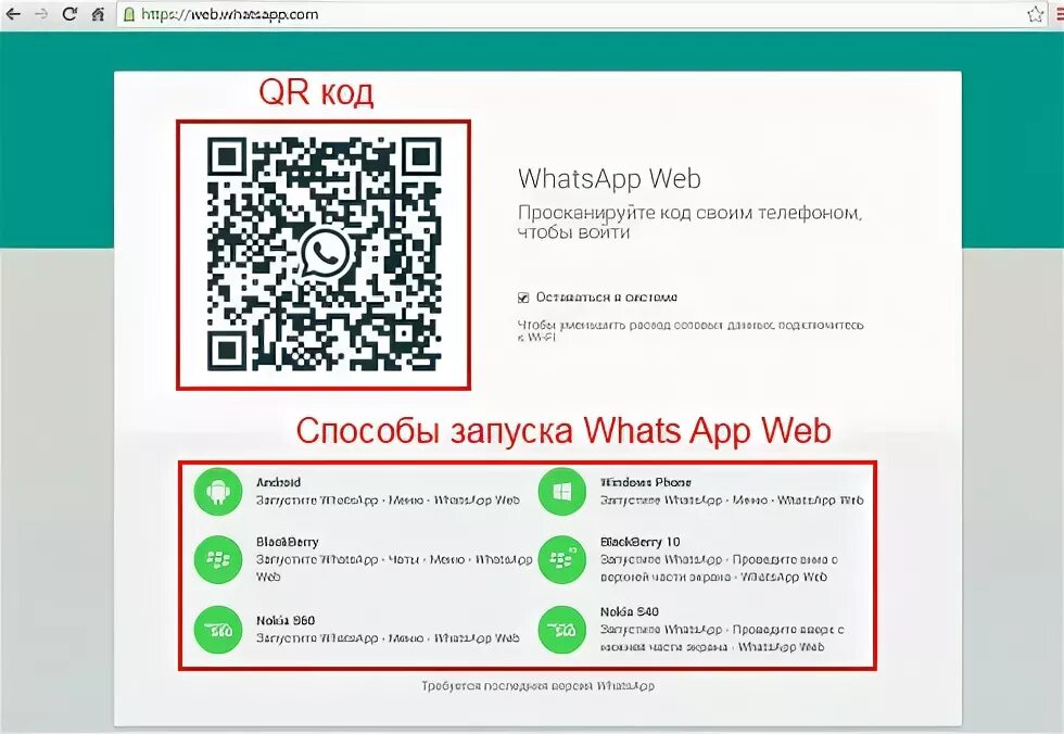 QR-коды для WHATSAPP. QR код в ватсапе. QR WHATSAPP пароль. QR код на группу в ватсапе.