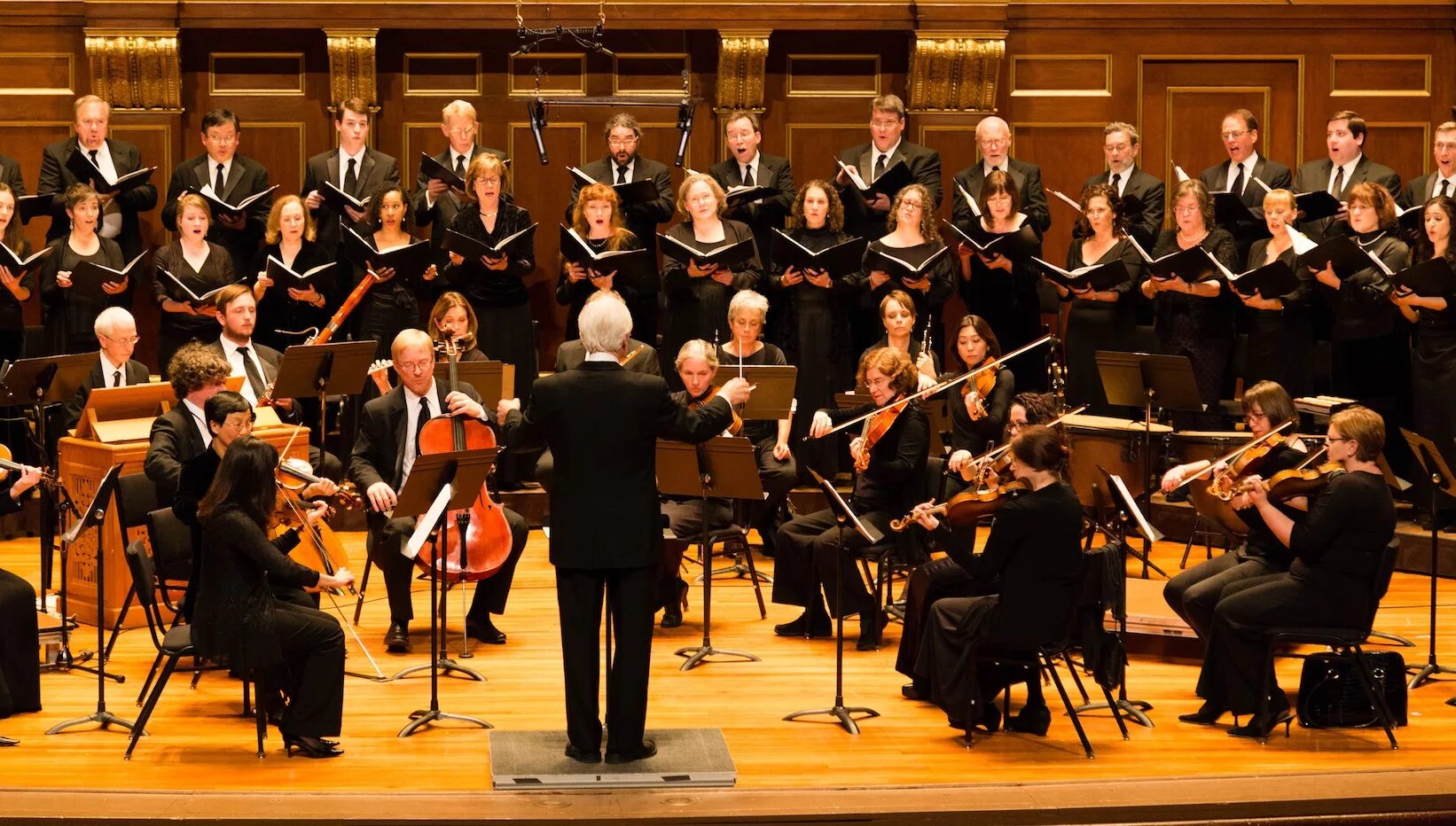 музыкальное исполнение. саммерли. музыкальное исполнение. израильский филармонический оркестр. музыкально-инструментальное искусство.