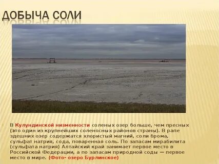 Полезные ископаемые добывают в алтайском крае