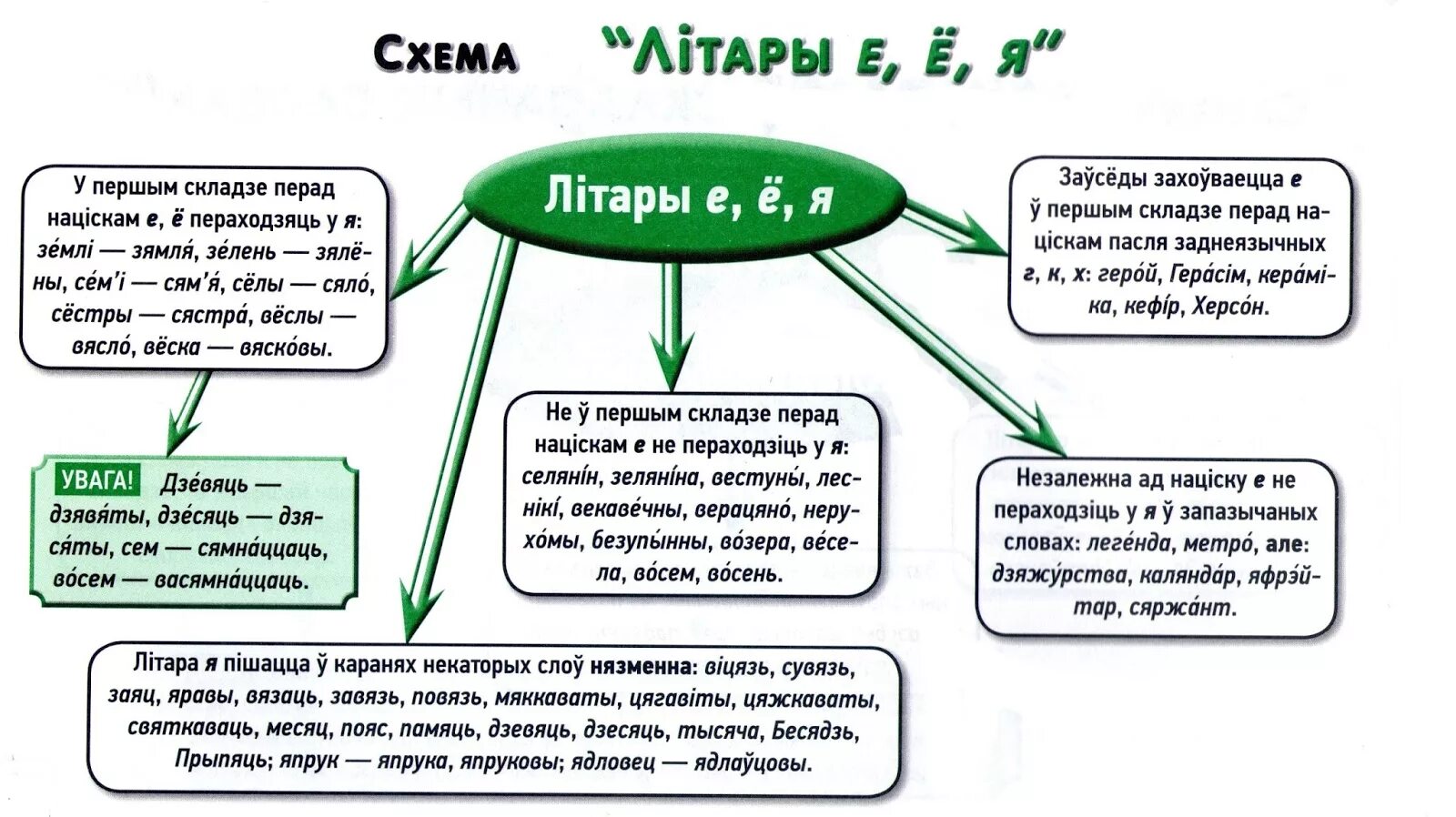 Правапіс е ё я. Е Ё Я У беларускай мове. Правапіс галосных е я. Правапіс е ё я у беларускай.