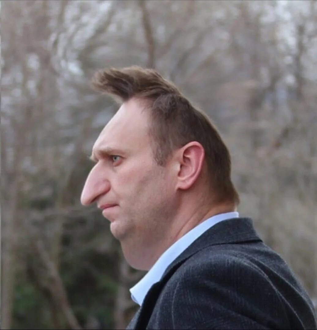 Кривой лоб. Навальный в профиль.