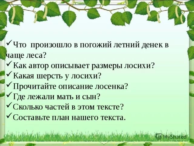 Изложение лосиха и лосенок. Изложение лосёнок. В погожий летний день в чаще леса у лосихи родился лосенок изложение. Изложение лосиха и лосенок 4.