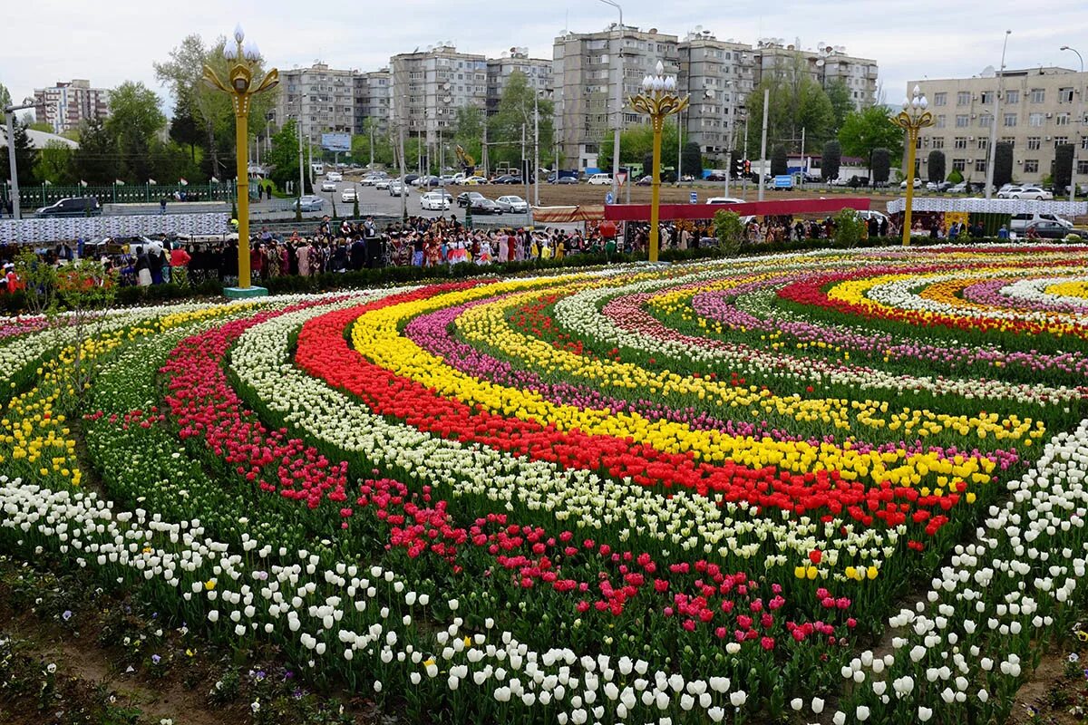 Наманган гуллари. Аллея роз дрезден. Флауэрс гарден парк. Плетистые розы берсо. Цветочная аллея айя напа.
