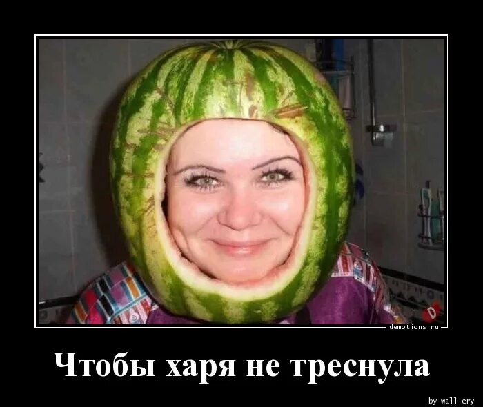 Харя это. Харя не треснет. морда треснет. рожа не треснет. морда не треснет.