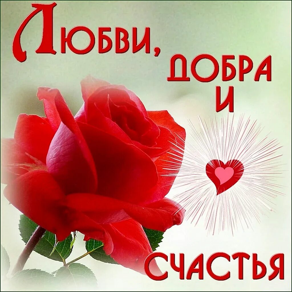 Желаю счастья радости добра. Пожелания счастья и добра. пожелания любви. открытка добра и счастья. открытки с пожеланиями счастья и добра.