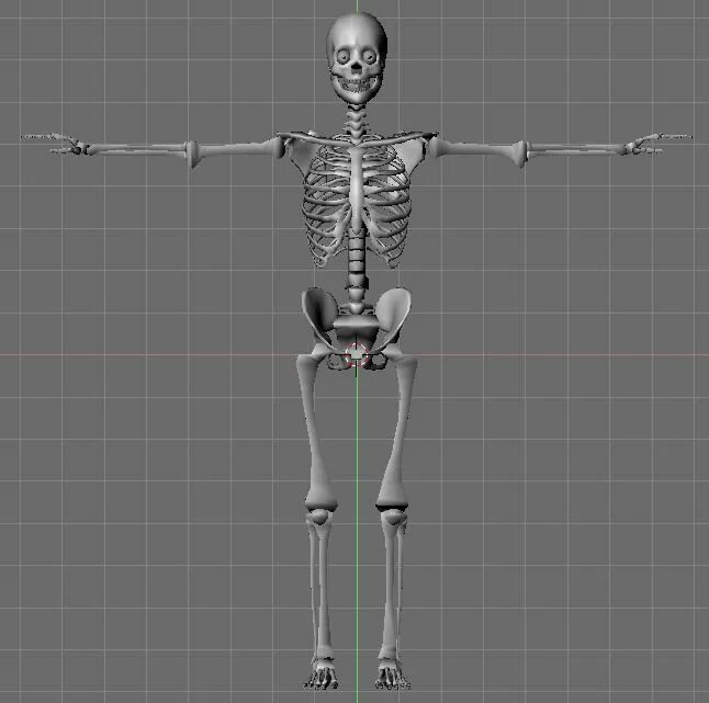 Модель скелета блендер. Blender скелет. 3д модель скелета человека blender. моделька скелета в блендер. 3д модели в блендере скелета.