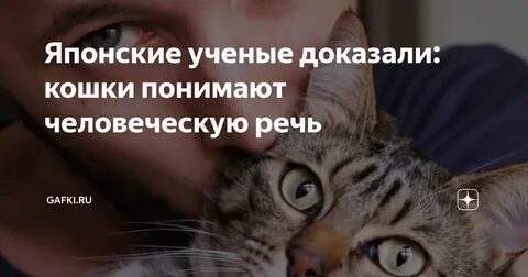 Понимают ли животные речь
