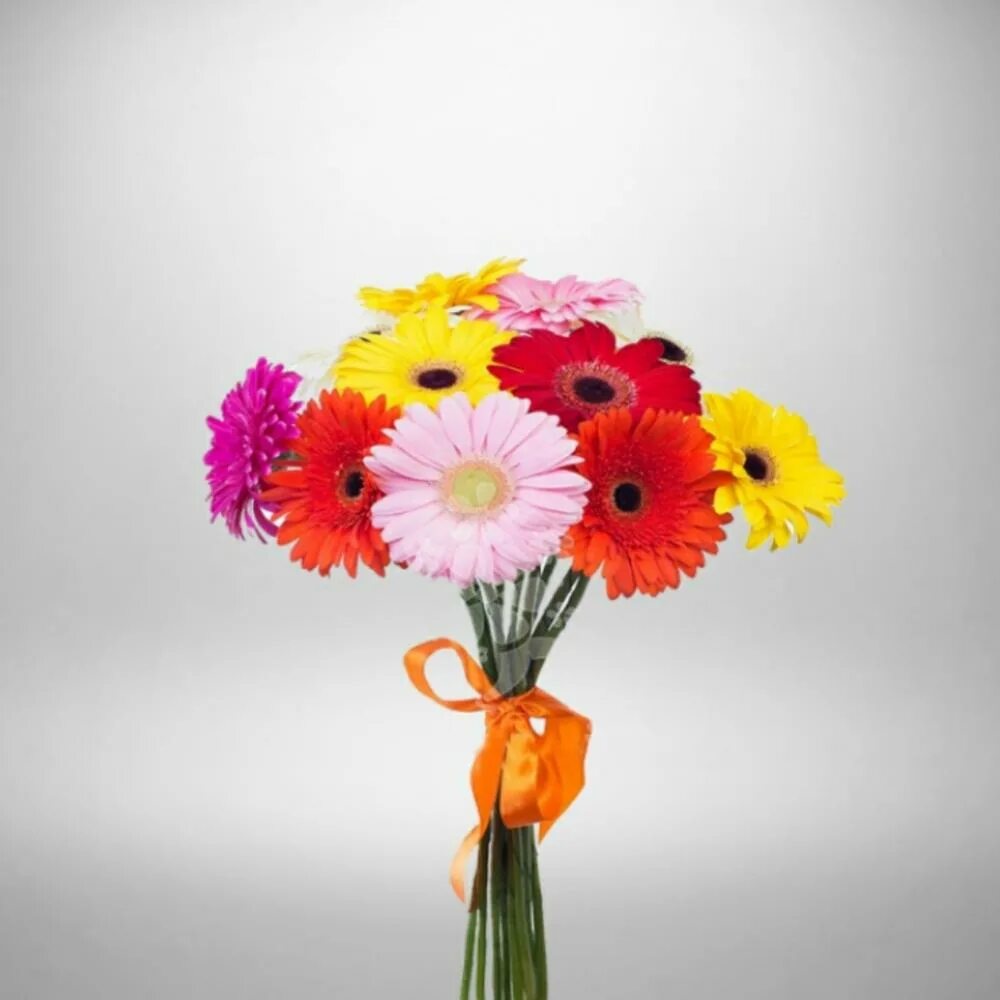 Герберы в вазе. Герберы в вазе. Герберы в вазе. Гермини сури. Гербера мариатта.