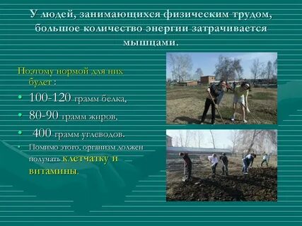 Заниматься трудом