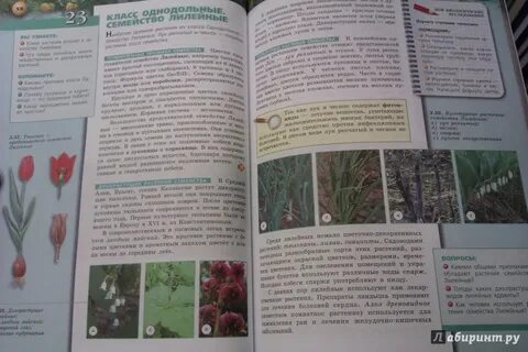 Сухорукова учебник биология 8