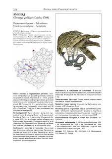 Самарская область книга