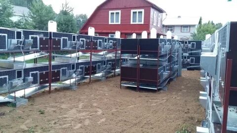 Продам лпх