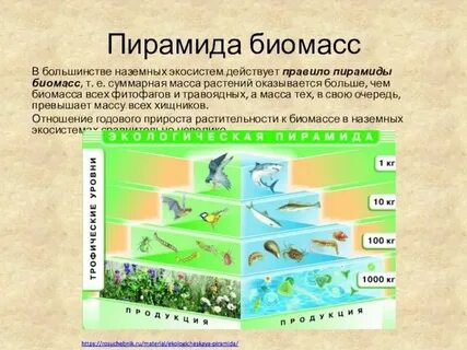 Сколько видов полезных