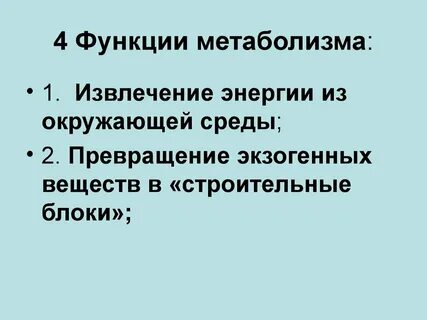 Какова роль энергетического обмена в жизни организма