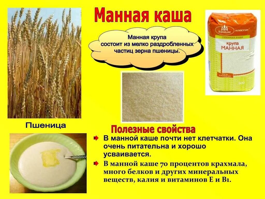 Манка манная крупа. Из чего манная крупа какого зерна. Из чего изготавливают крупы. Из чего изготавливают манную крупу. Из чего изготовлена манная крупа.