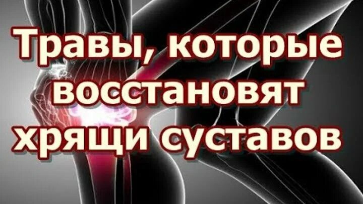 Травяной сбор для суставов ног. Травы для больных суставов. Мята розмарин тимьян шалфей. Противовоспалительный сбор для суставов. Травы для суставов и хрящей.