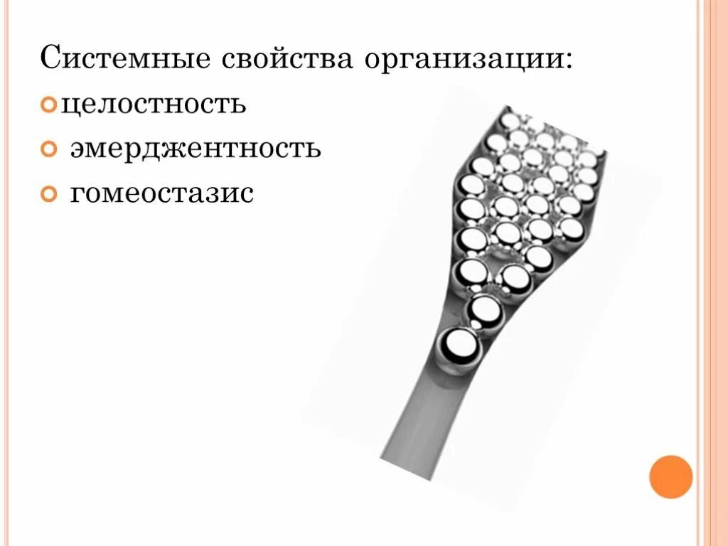 Свойства организации. Системные свойства. Свойства системного по. Системные свойства компании.