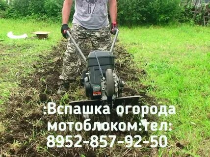 Пашу огороды