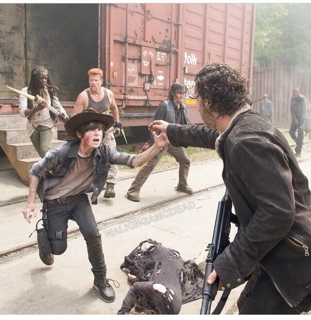 The walking dead 1 5