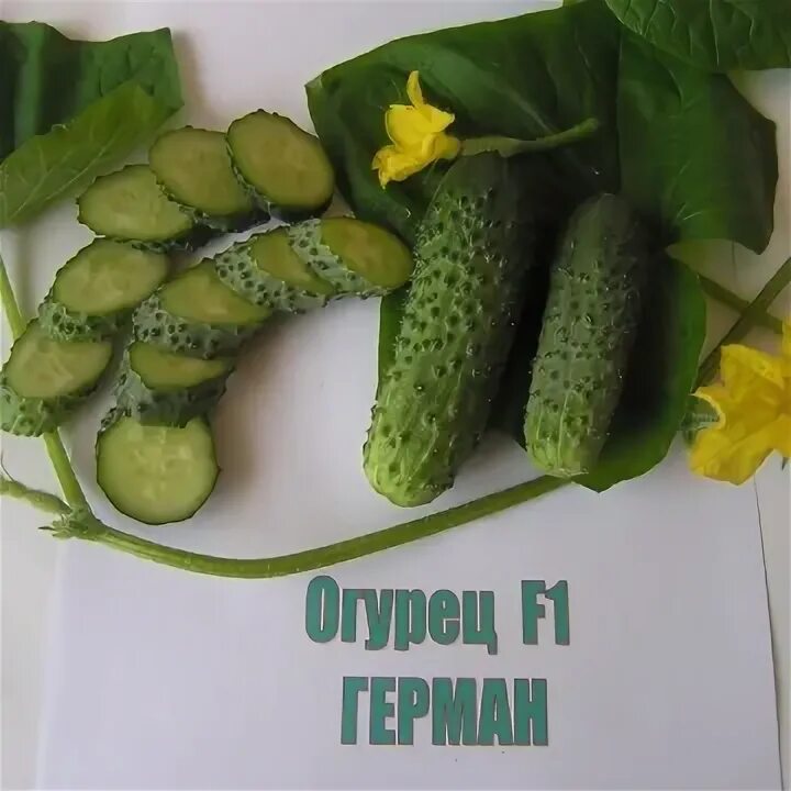 Огурцы по немецки