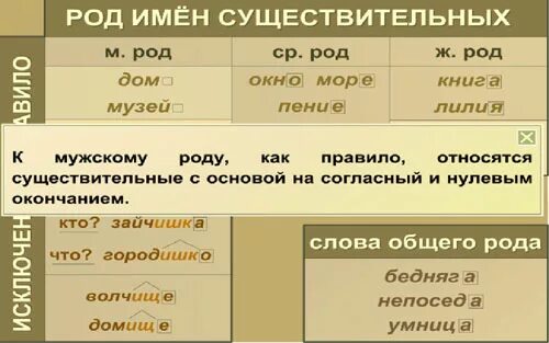 Солома какой род. Род имен существительных. Род имен существительных таблица. Слова род имен существительных. Род существительных в русском.