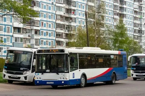 Некст ярославль