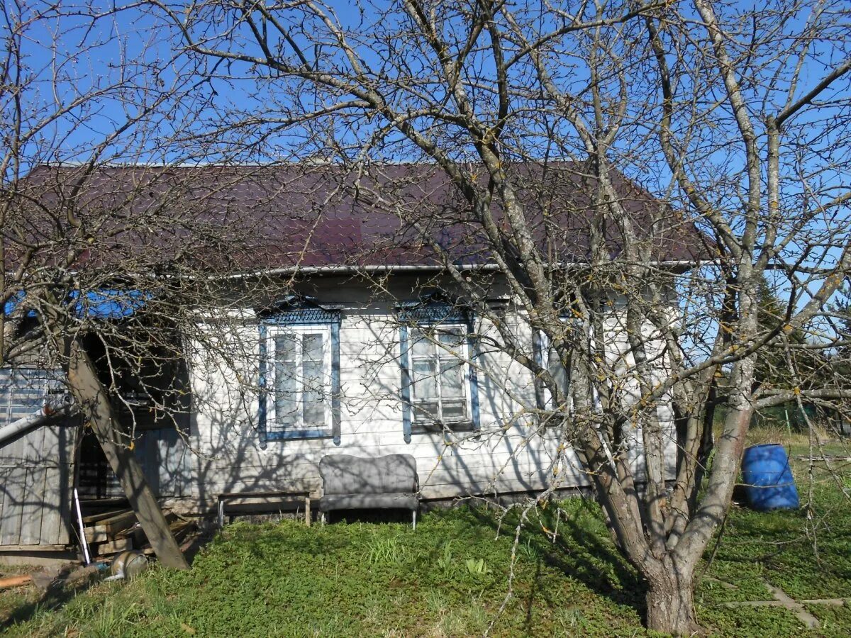 Деревня старая пустошь. Старая пустошь спб деревня.